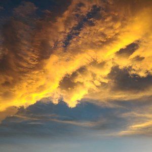 Meet your Posher, Darling